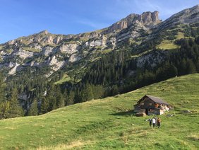 An alp in the mountains