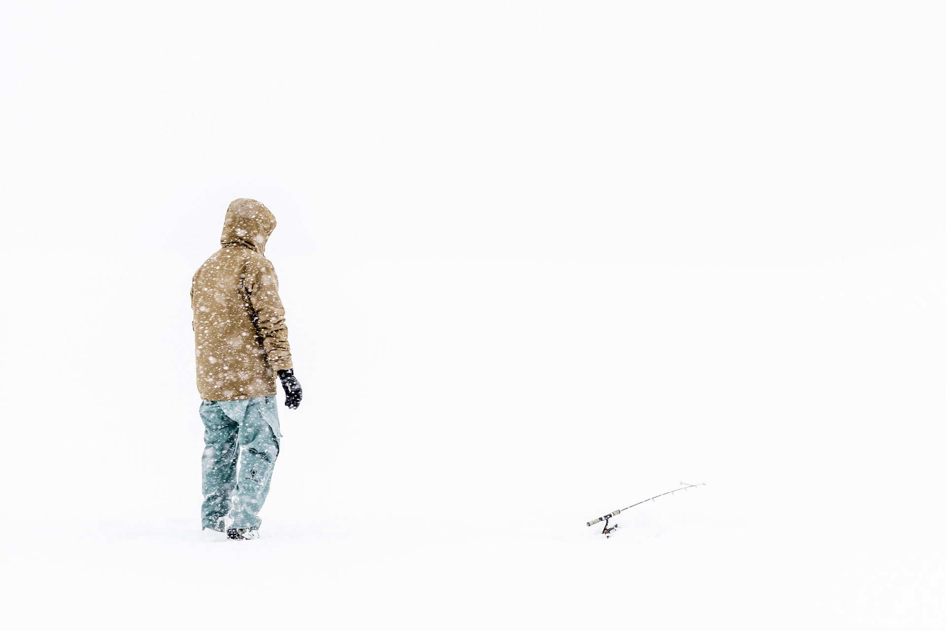 Buch "NUTZEN. BENUTZEN. HEGEN. PFLEGEN. Die Alpen im Anthropozän"