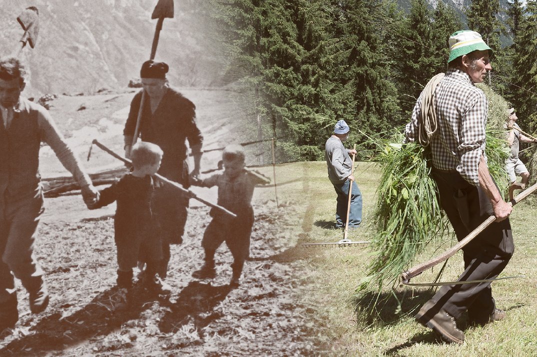 Old and new image of a farming family at work