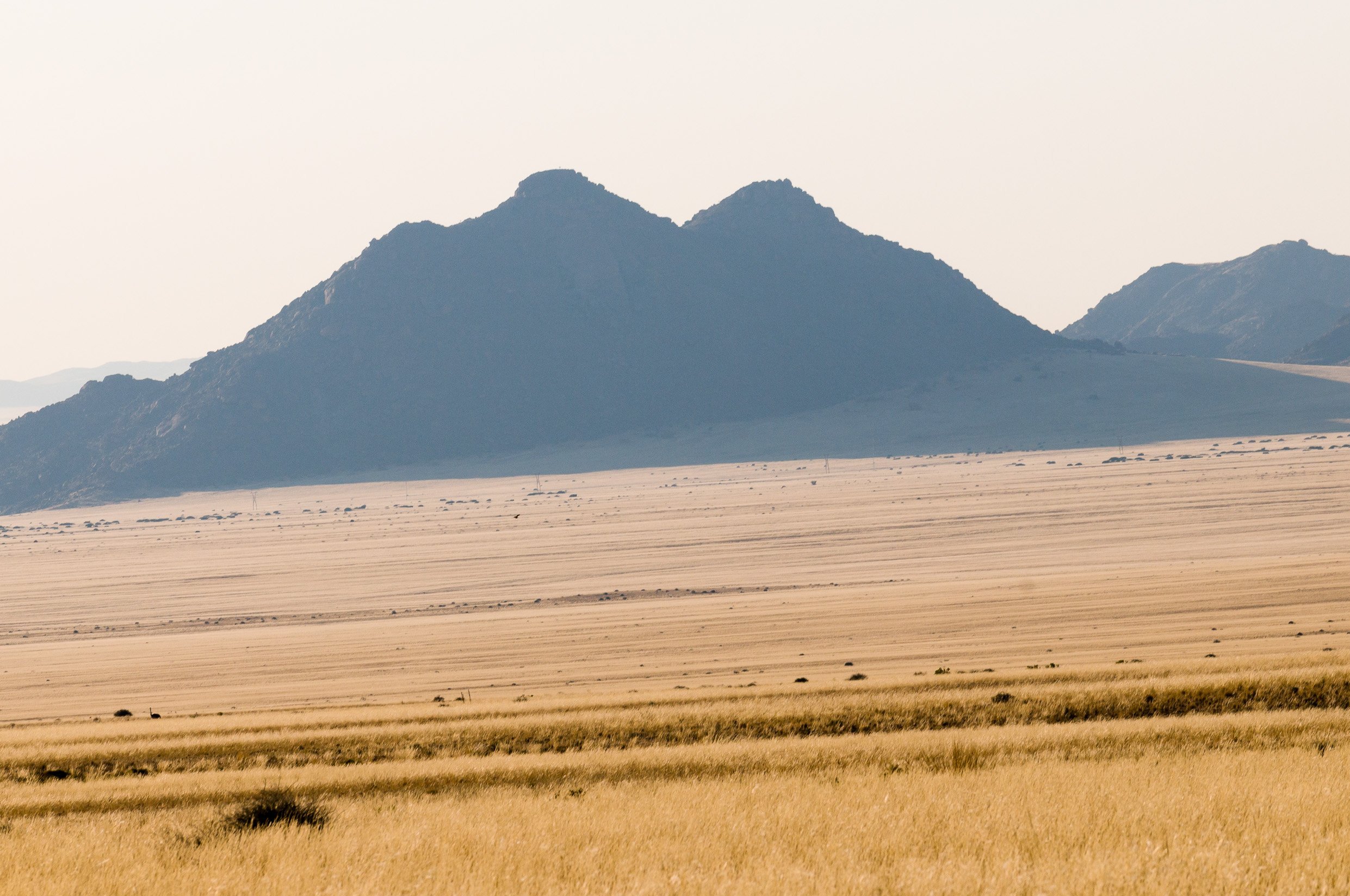 Picture of a steppe with mountains in the background